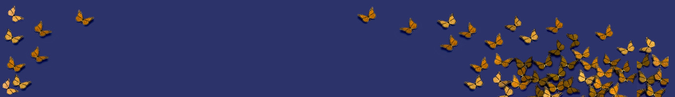 butterflies on a blue background