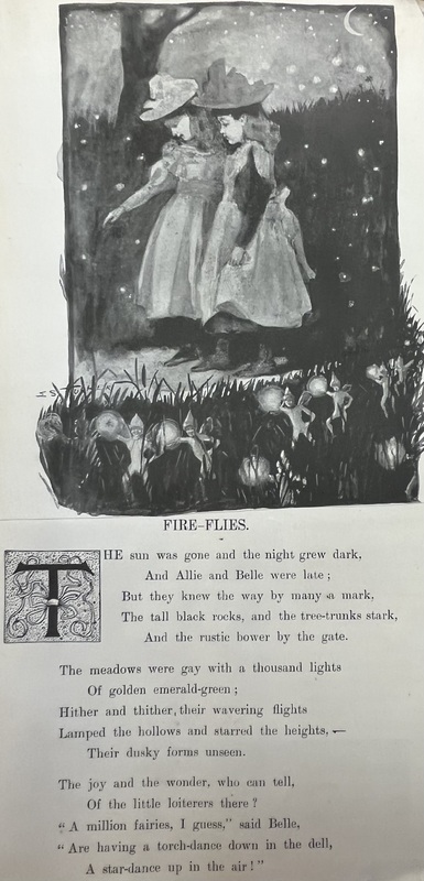 Fire-Flies, illustrated poem by George S. Burleigh
