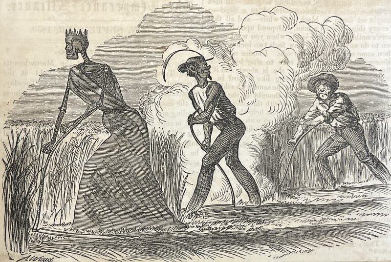 The Marvellous Mowing-Match Illustration
