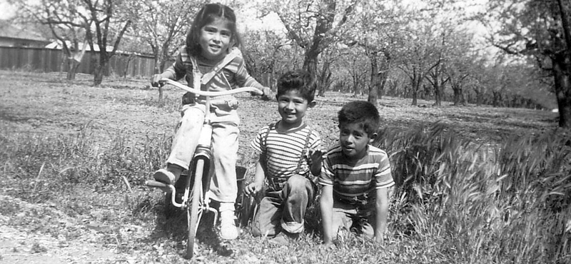 Children play in a small orchard