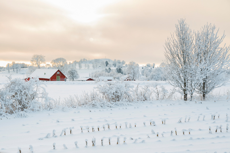 Winter farm scene, by Lars Johansson