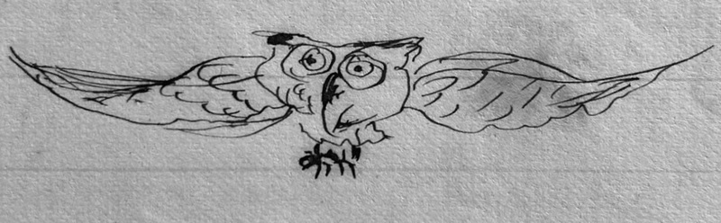 Sketch of a Great Horned Owl, by George S. Burleigh, accompanying this poem in "Our Pets" mss.