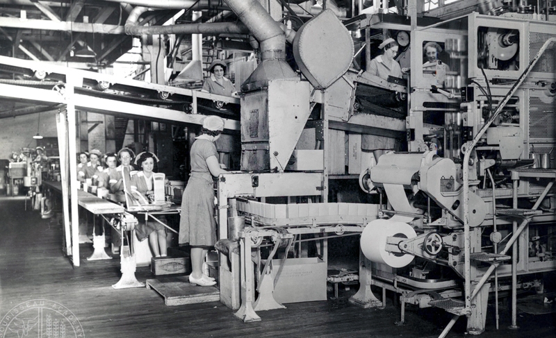 Packing Prunes at Del Monte Plant 51 Circa 1950