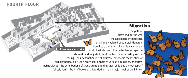 Location of Migration