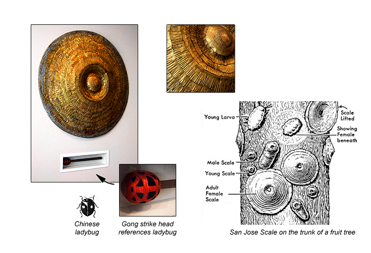 Gong & Scale drawing