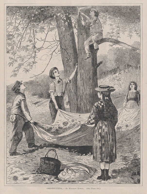 Chestnutting