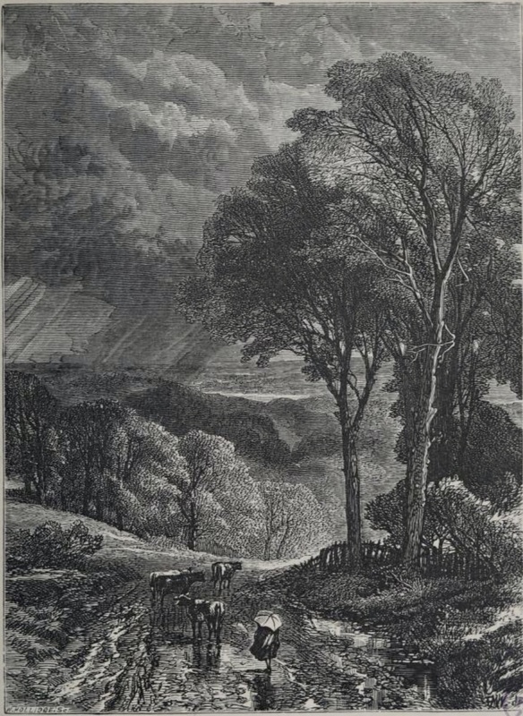 Illustration of "Water Beauties"