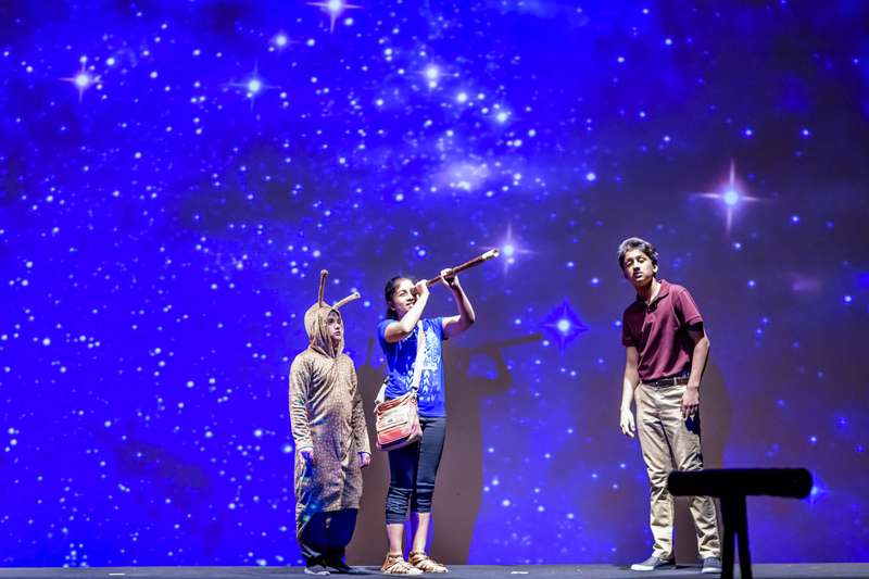 The Case of the Vanishing Firefish