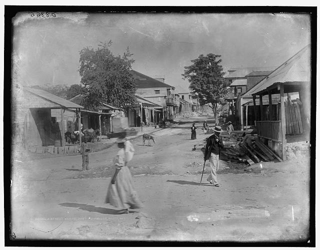 Street Scene, Port-au-Prince, Haiti, ca. 1890