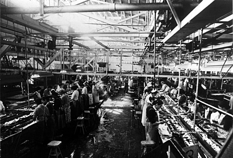 Cannery Workers at Conveyor Belts, Tri-Valley Cannery