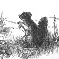 Illustration of a Squirrel, p. 170