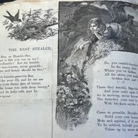 The Nest Stealer illustration