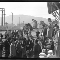 Stockton (vicinity), California. Mexican Agricultural Laborers Arriving by Train to Help in the Harvesting of Beets