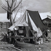 Establishment of Rural Rehabilitation Camps for Migrants in California. March 15, 1935