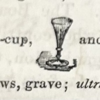 Illustrated Line of Text from The Morning Scavengers