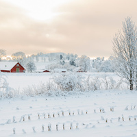Winter farm scene, by Lars Johansson