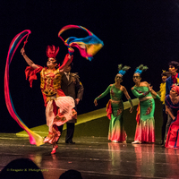 Conference of the Birds