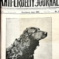 Bruno - The Life Saver