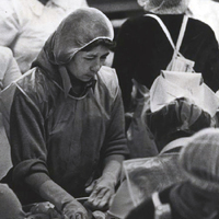 Women working in a cannery