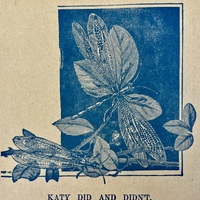 Katy Did and Didn't - uncredited illustration in Little Tots' Delight