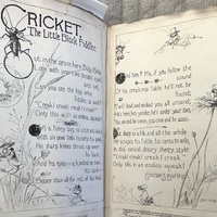 Cricket, the Little Black Fiddler