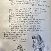 Auntie's Mummy Cat, poem, part two