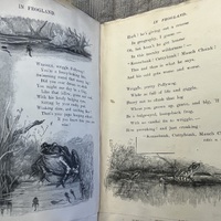 Frogland Illustrations