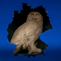 Owl of Minerva