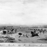 Painting of a Spanish Rancho Cattle Round-up