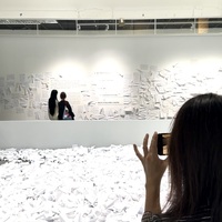 Exhibit on Miscommunication