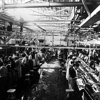 Cannery Workers at Conveyor Belts, Tri-Valley Cannery